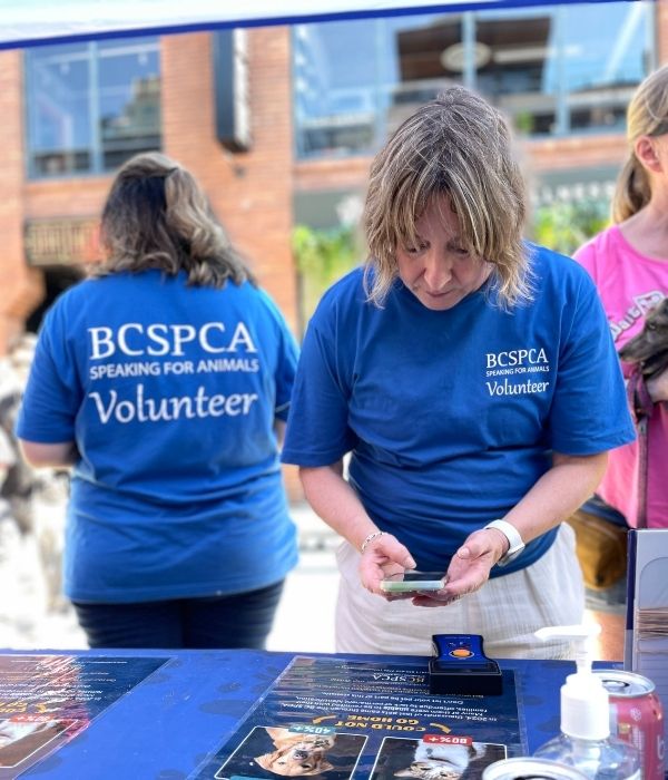 BC SPCA BC Pet Registry volunteers