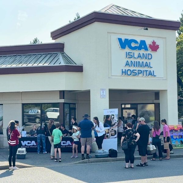20250907 BC SPCA Nanaimo Microchip Clinic x VCA Island Animal Hospital