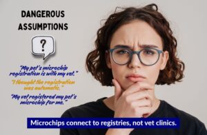 "its with my vet" dangerous assumption for pet microchip registration