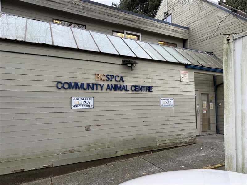 BC SPCA Vancouver Animal Hospital