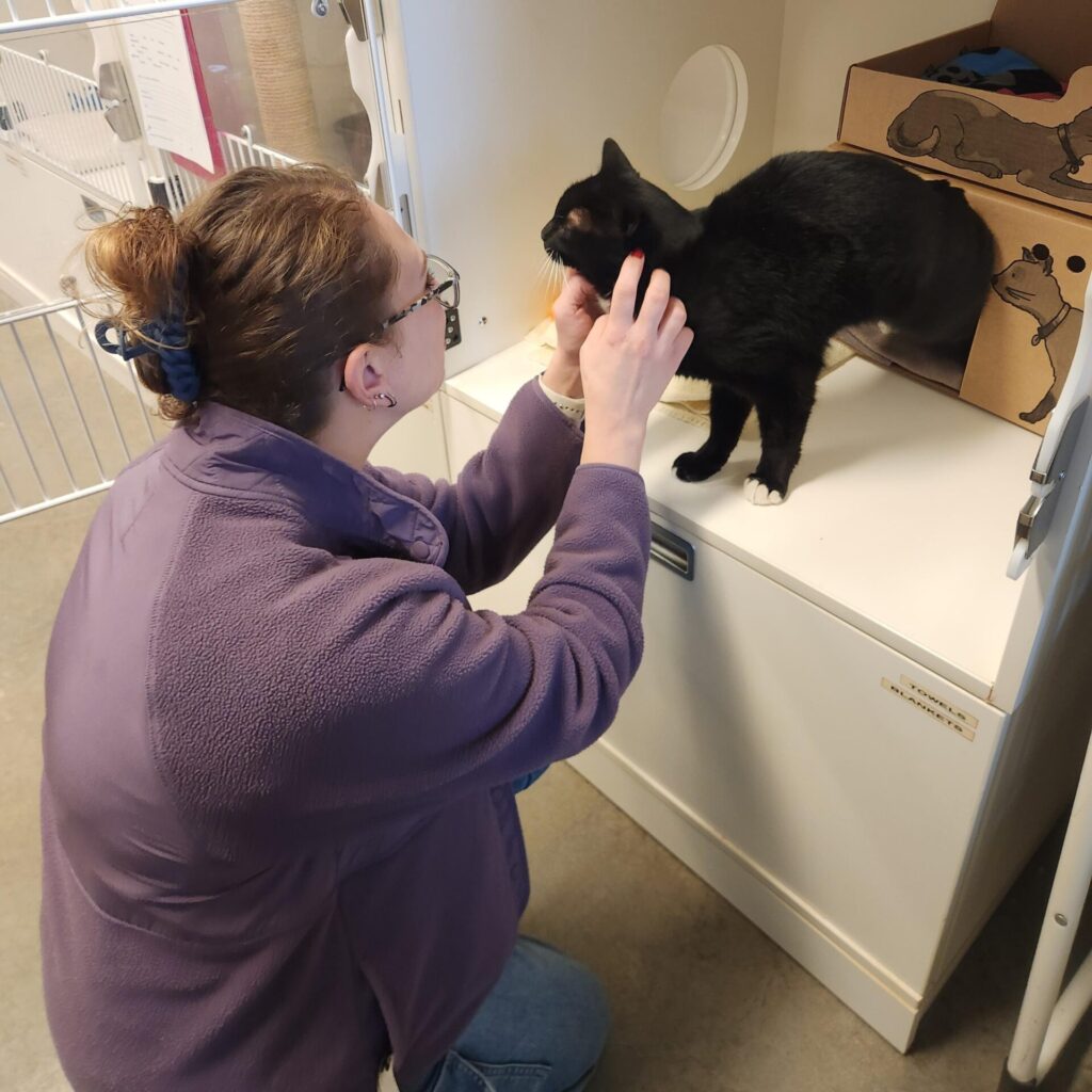 Kamloops pet owner Nicole reunite with Kamloops pet owner Nicole reunite with cat at the Kamloops BC SPCA cat