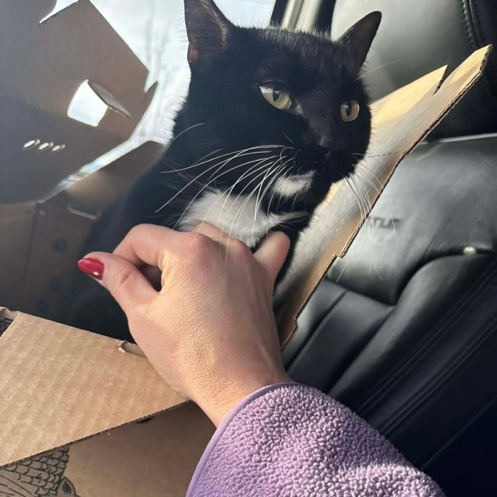 Kamloops pet owner Nicole reunite with cat