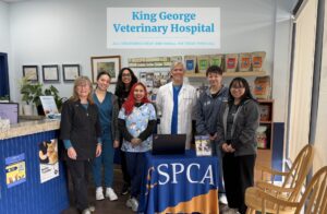 BC SPCA Surrey and King George Vet team photo