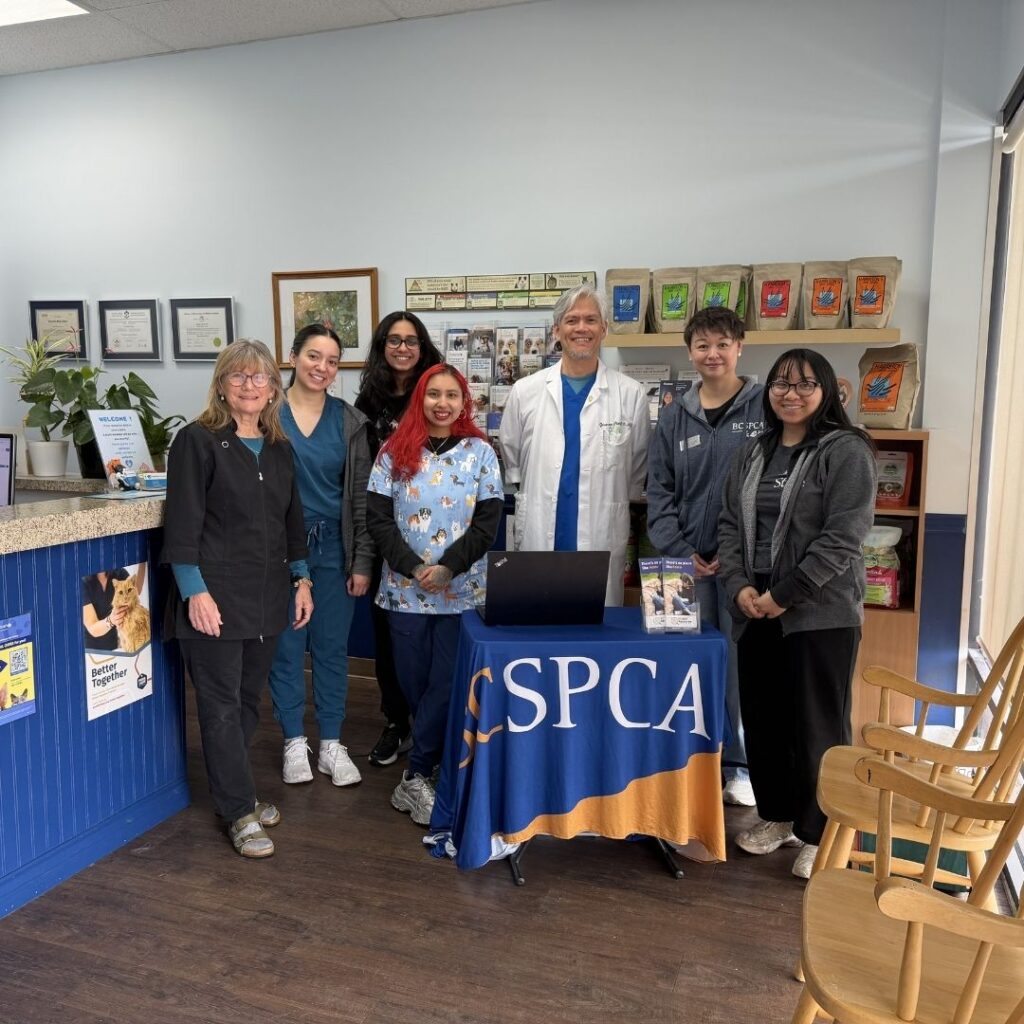 BC SPCA Surrey and King George Vet team photo
