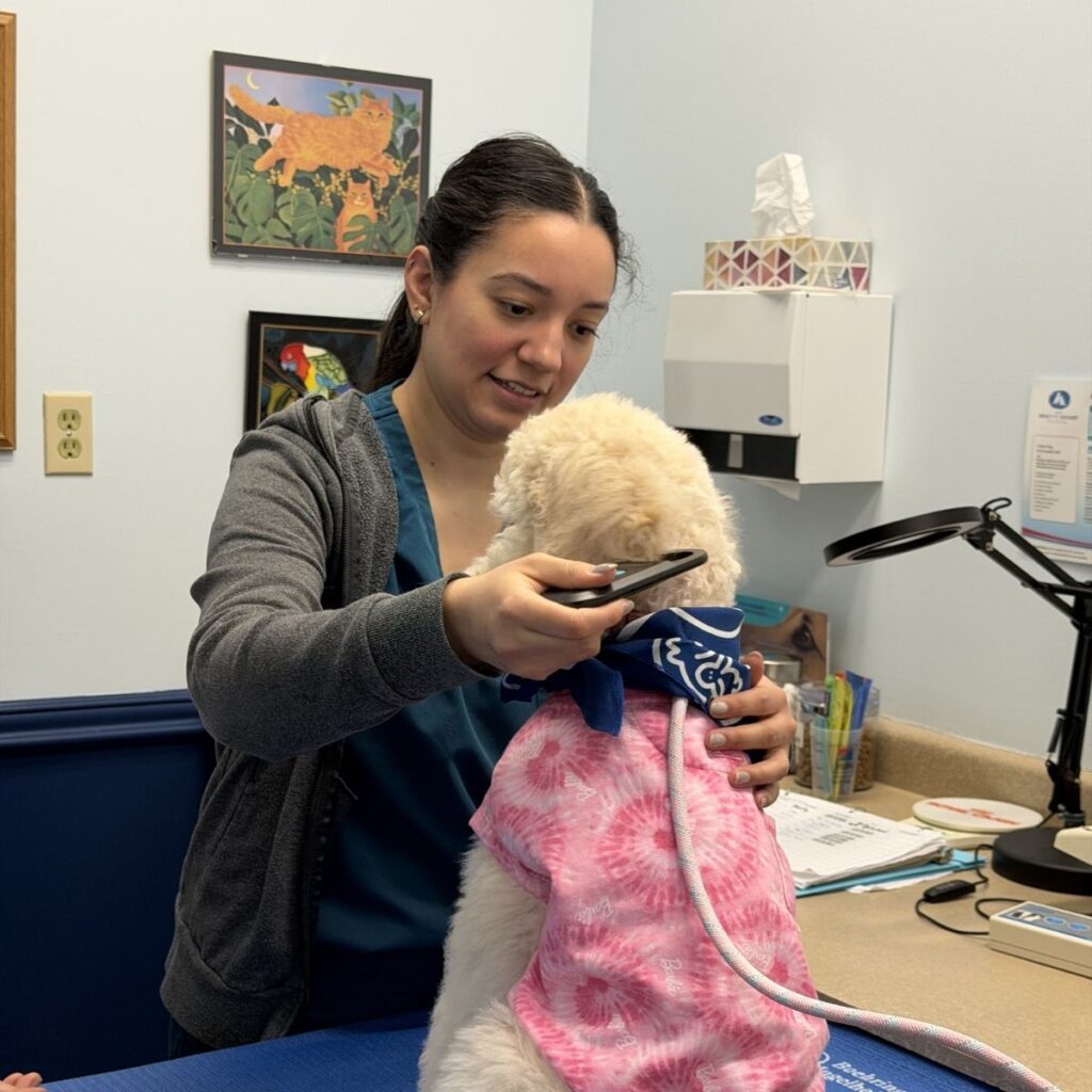 Veronica, the veterinary assistant, created a calm and comforting environment. She offered treats and reassurance throughout the process.