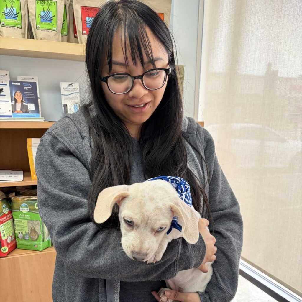 Jerzhel from the BC SPCA Surrey team organized the event with care and attention.