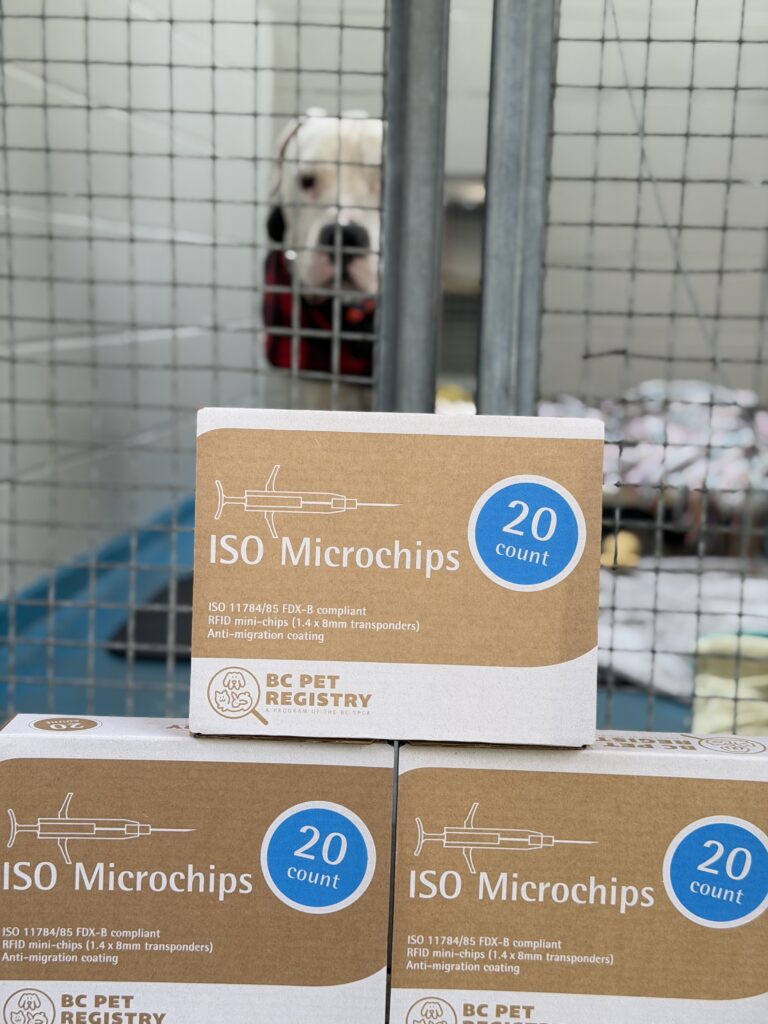 shelter dog with BC SPCA BC Pet Registry microchips