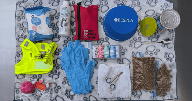 emergency-kit-for-cat