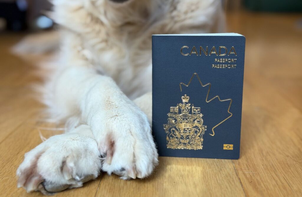 dog with a Canadian passport