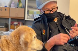 senior pet guardian with a senior golden