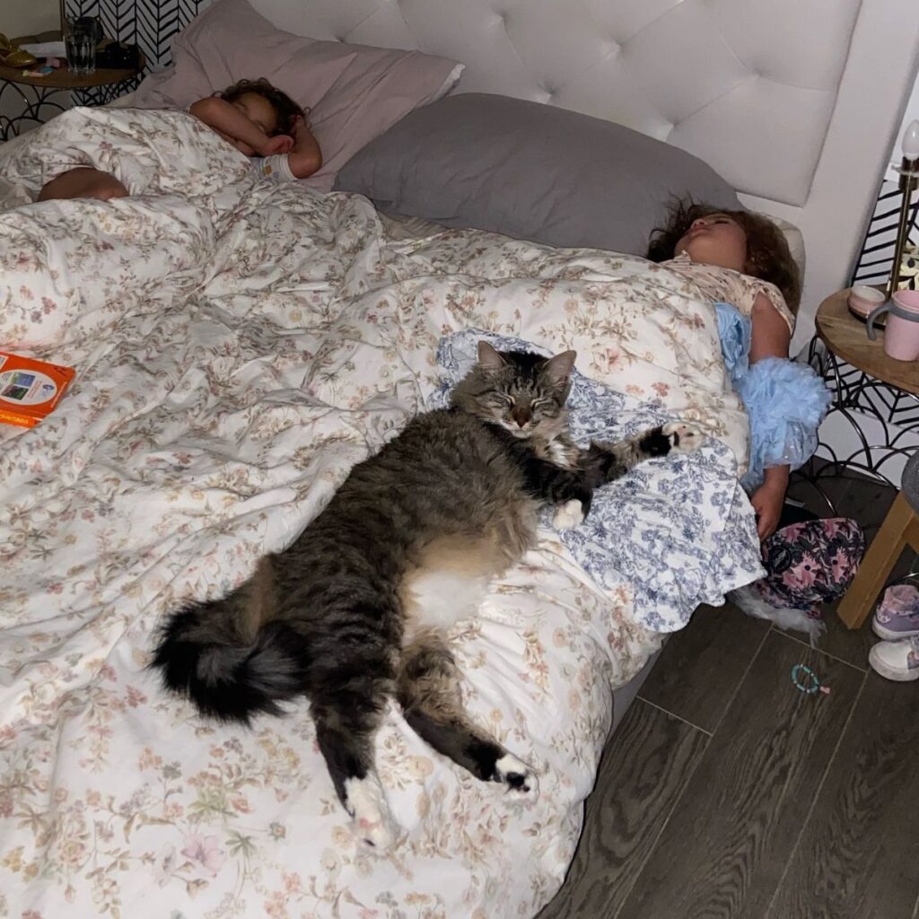 Boots and his twin human siblings