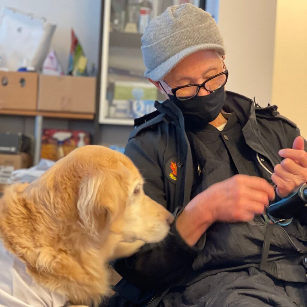 senior pet guardian with a senior golden