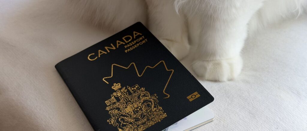 cat with a Canadian passport