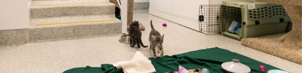 BC SPCA Richmond Education and Adoption Centre