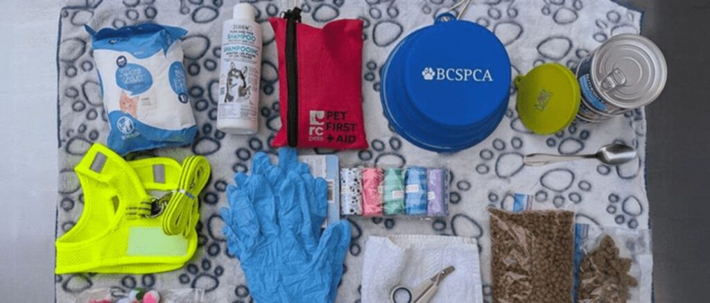 emergency kit