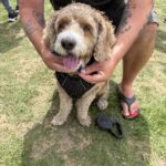 2026 pets at DCAS and Pet-a-Palooza (10)