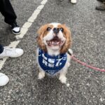 2026 pets at DCAS and Pet-a-Palooza (14)