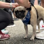 2026 pets at DCAS and Pet-a-Palooza (2)