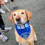 2026 pets at DCAS and Pet-a-Palooza (2)