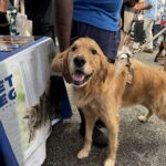 2026 pets at DCAS and Pet-a-Palooza (3)