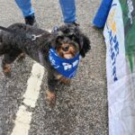 2026 pets at DCAS and Pet-a-Palooza (4)
