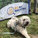2026 pets at DCAS and Pet-a-Palooza (7)