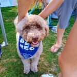 2026 pets at DCAS and Pet-a-Palooza (8)