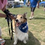 2026 pets at DCAS and Pet-a-Palooza (8)