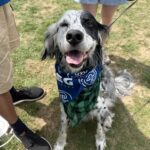 2026 pets at DCAS and Pet-a-Palooza (9)