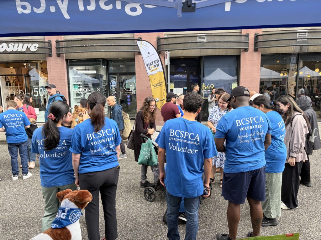 2026 BC SPCA Volunteers