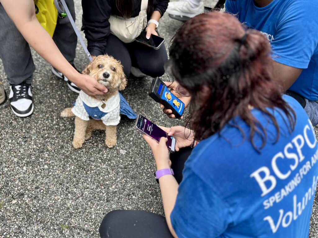 2026 Pet a Palooza BC Pet Registry