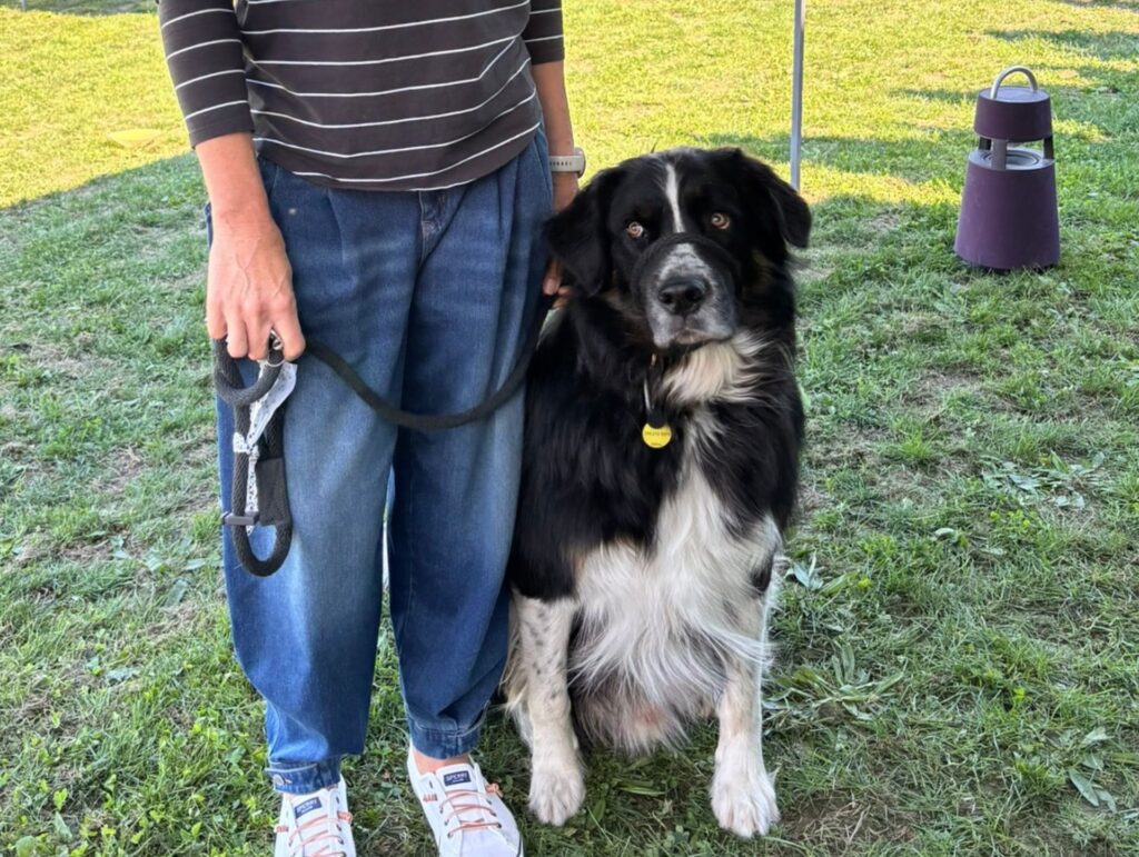 dog with owner at 2026 Kelowna microchip clinic event